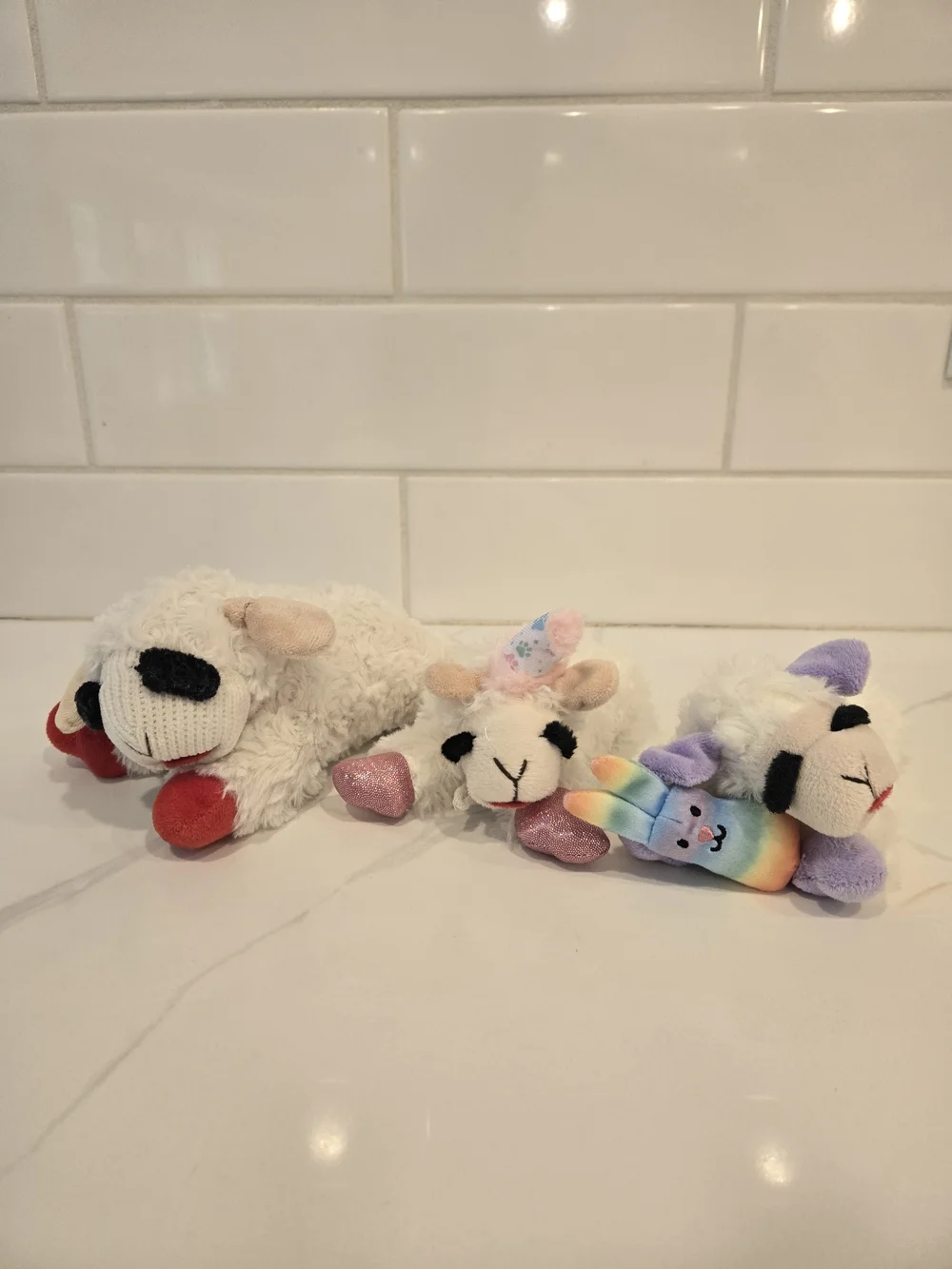 Lamb Chop Dog Toys